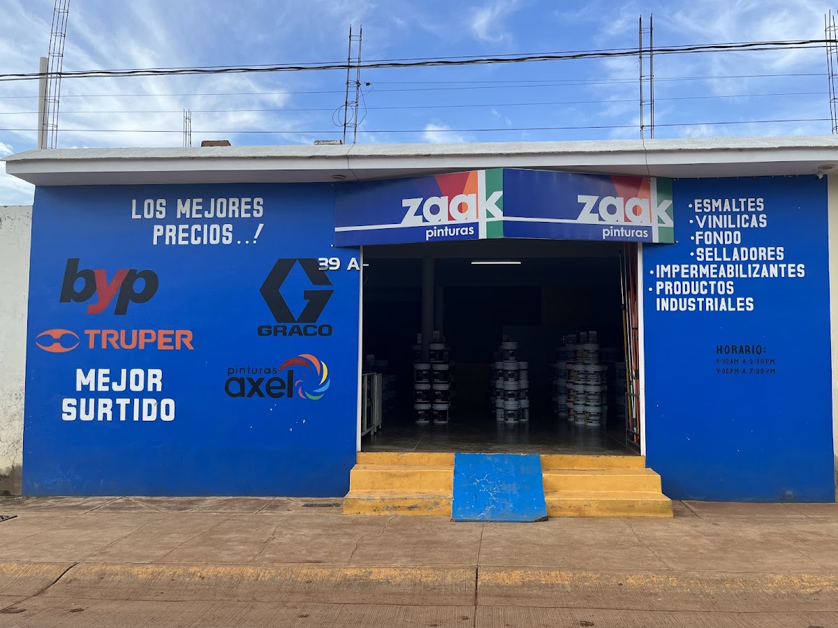 Pinturas Zaak